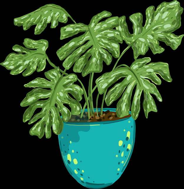 全景透析 · 黑料官网、黑料社app下载官网、黑料网app、黑料万里长征首页 - 行业扫盲超级包