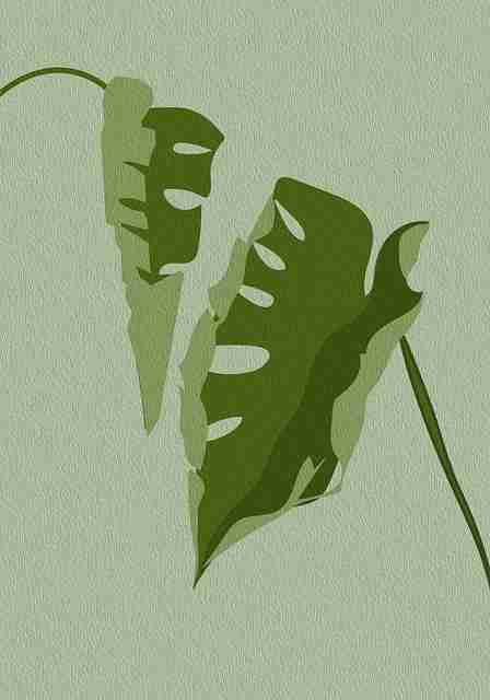 【完整档案】每日大赛官网转播平台对比测评,搜索热度高涨