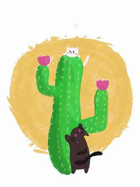 黑料不打烊猎奇事件大事件年表全记录