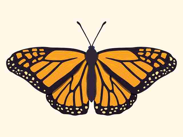 百科全书式：91在线、91网页版——读者收藏版